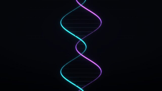 2D Vector Animation of a DNA Double Helix
