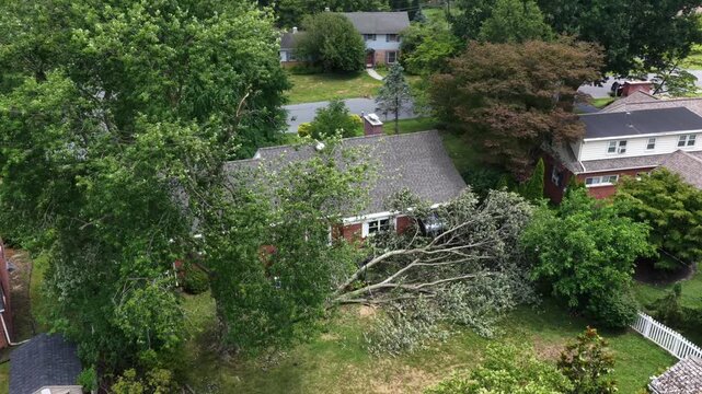 Large fallen tree crushes brick ranch house roof in Manheim Township, Pennsylvania, storm-damaged branches sprawling across lawn amid dense suburban tree canopy cover. Aerial drone approaching shot