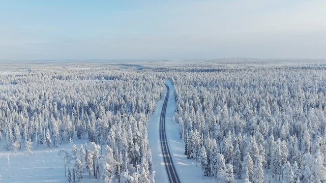 Aerial drone view of a road passing through a snowy pine forest on a bright winter day. Scenic winter road trip journey through cold fir trees.