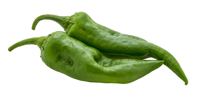 Two curved green chili peppers with textured skin