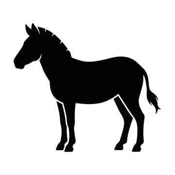 silhouette of a horse