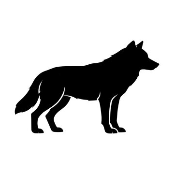 wolf vector illustration