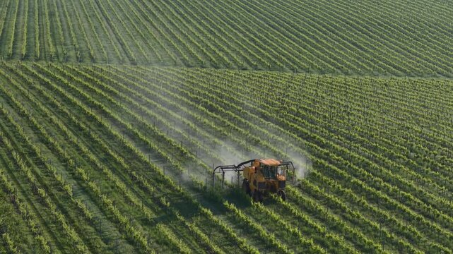 Aerial view of a yellow tractor spraying rows of lush green grapevines in a vineyard in Targon, Nouvelle-Aquitaine, France.
