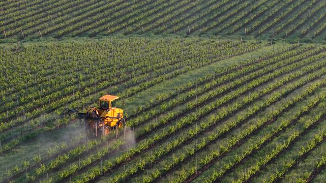 Aerial view of a yellow tractor spraying rows of lush green grapevines in a vineyard in Targon, Nouvelle-Aquitaine, France.