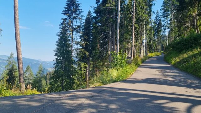 Scenic Alpine road winding through lush fir forests near Lenk in Switzerland&rsquo;s Simmental Valley. Sunny mountain scenery creates an idyllic setting for hiking, cycling and outdoor adventures