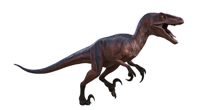 Velociraptor dinosaur with sharp claws and teeth