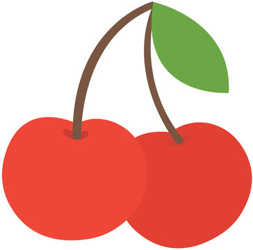 vector illustration of a cherry