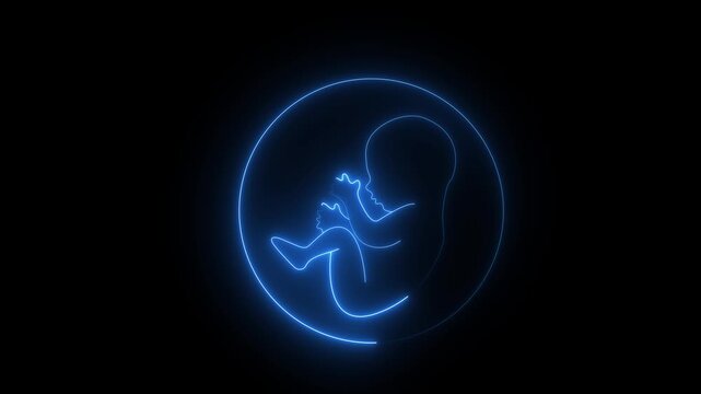 Human embryonic and frontal development. glowing neon human fetus inside the womb. human embryonic stem cells.4k motion graphics animation.