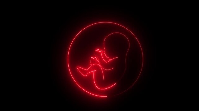 Human embryonic and frontal development. glowing neon human fetus inside the womb. human embryonic stem cells.4k motion graphics animation.