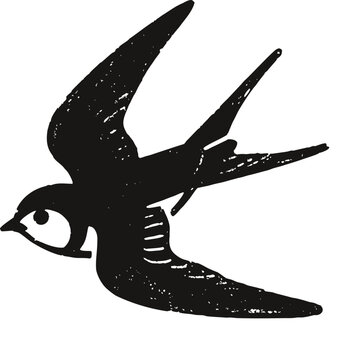 Black swallow bird illustration with white eye on white background