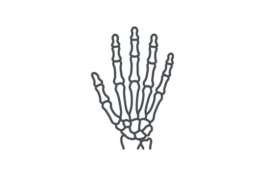 Minimal Skeleton Hand Vector Illustration