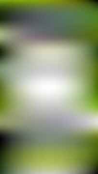 Lush natural forest green gradient background for organic branding and environmental photography