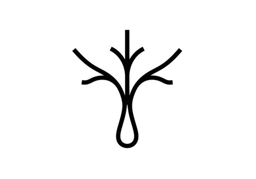 Simple root system diagram with five branches
