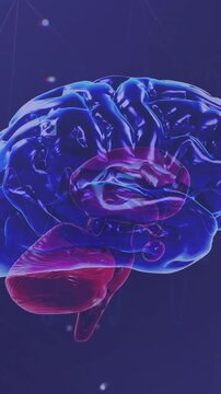Animation of network of connections with icons over digital brain