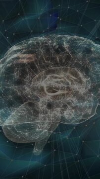 Animation of network of connections over digital brain