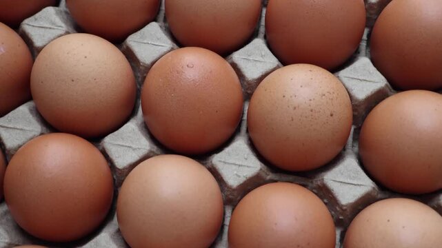 Fresh organic brown chicken eggs in cardboard tray