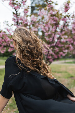 Back view of woman with long curly hair waving in the wind against blooming sakura background.