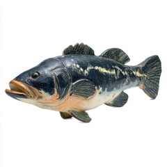 Fototapeta premium Detailed Realistic Bass Fish Toy Figurine Isolated On White Background With Textured Skin Surface