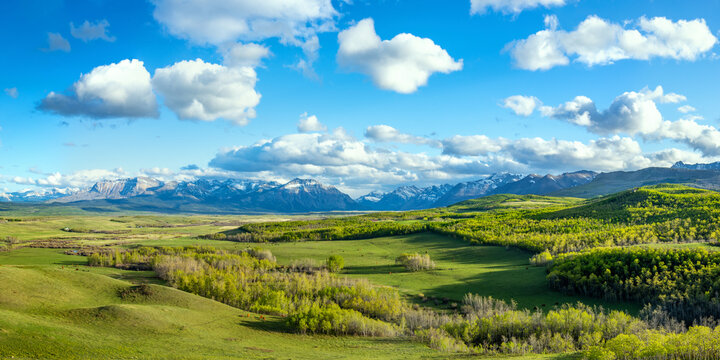 Rolling green foothills near the Alberta Rocky Mountains
