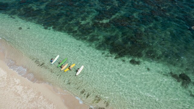 Four surfers line up in shallow clear water