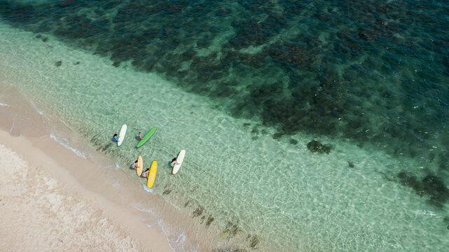 Aerial view of surfers with boards on a beach