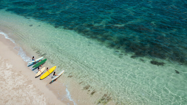 Group of women surfers at the shoreline