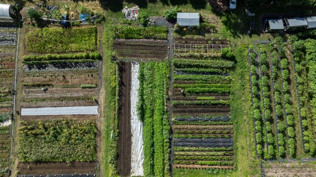 Aerial view of a small farm with patchwork fields