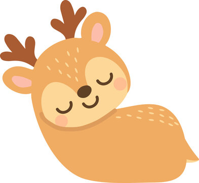 Little fawn sleeping peacefully with small antlers