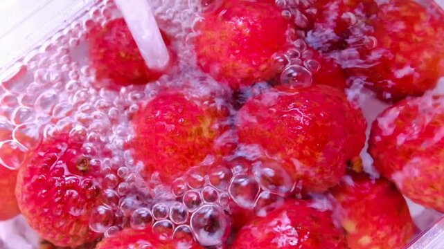 Wash fresh lychees with clean water