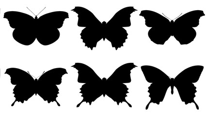Six black butterfly silhouettes with detailed wings © Peregrine