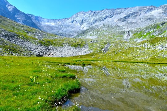 Moor at the shore of Unterer Lanischsee high alpine lake bellow the rocky mountain peaks at P&ouml;llatal valley in High Tauern, Carinthia, Austria