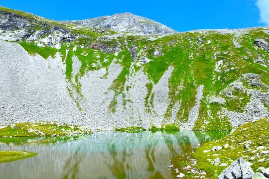 Scree and green meadows covered mountain slopes above the water with a reflection at Oberer Lanischsee alpine lake in P&ouml;llatal, High Tauern, Carinthia, Austria