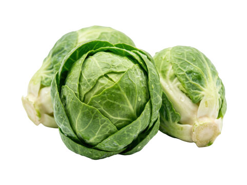 Fresh Brussels sprouts with water droplets on a clean white background