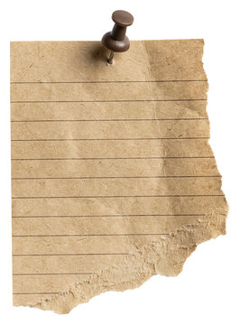 Torn Lined Paper Pinned with a Metal Thumbtack.