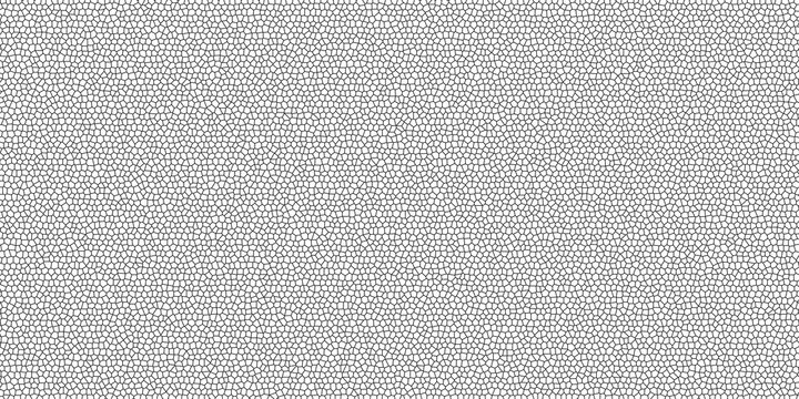 Black and white voronoi mosaic pattern background, geometric cell mesh texture, abstract modern tile backdrop