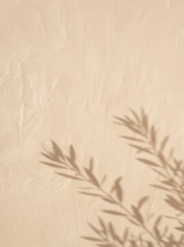 Beige tadelakt plaster wall texture with soft olive branch shadow and copy space for text