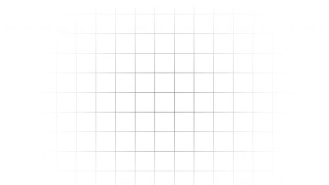Grid animation on white background, Lines moving animation on white bg
