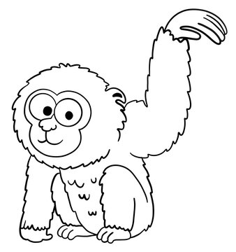 gibbon