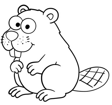 beaver