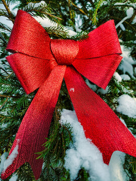 A decorated tree stands outside in the snow with a large red bow attached to the branches. The scene shows winter spirit and holiday cheer