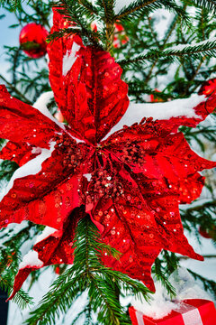 The image shows a Christmas tree covered in snow, decorated with red flowers and ornaments. It captures a winter scene during the holiday season
