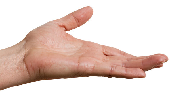 Open palm hand gesture, showing skin texture and lines