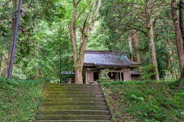 樹々に囲まれた石段の先に佇む靜神社の社殿/Shizuka Shrine Hall Standing Beyond the Stone Stairs Surrounded by Trees © Taketo Miyajima