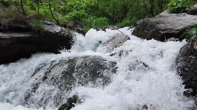 Close up of rushing mountain river water flowing over dark stones and mossy rocks, splashing white foam in forest, dynamic nature scene, powerful energy, refreshing wilderness vibes