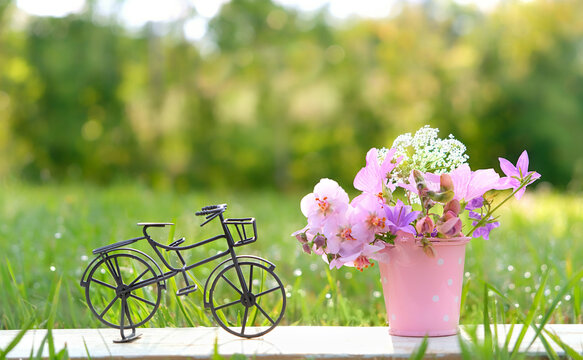 miniature bucket with flowers and decorative bike close up in garden, abstract green natural background. spring summer season concept. design greeting card for bicyclist, World bicycle day, 3 june