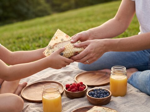 Close-up of mother hands offering healthy sandwich in reusable beeswax wrap to her child at picnic