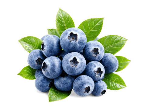 Blueberries isolated on white background.
