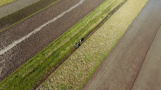 Aerial view of agricultural fields and irrigation channels near Jalan Bibis in Kecamatan Kasihan, Daerah Istimewa Yogya, Indonesia.