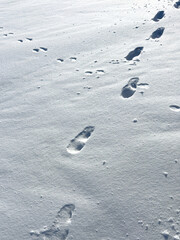 Obraz premium Footprints trail through fresh, untouched snow