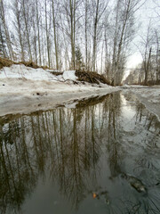 Obraz premium Winter forest path reflects bare trees in icy puddle